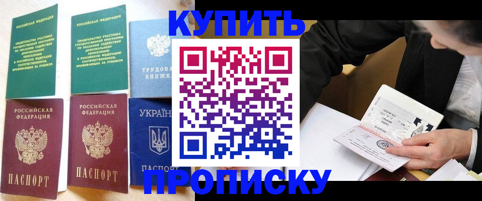 прописка для школы в Александрове